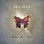 Beauty Will Come Albumcover
