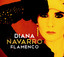Flamenco cover