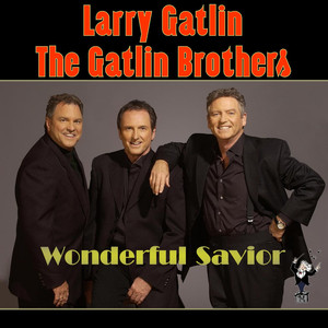 Wonderful Savior album