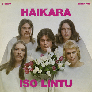 Iso lintu cover