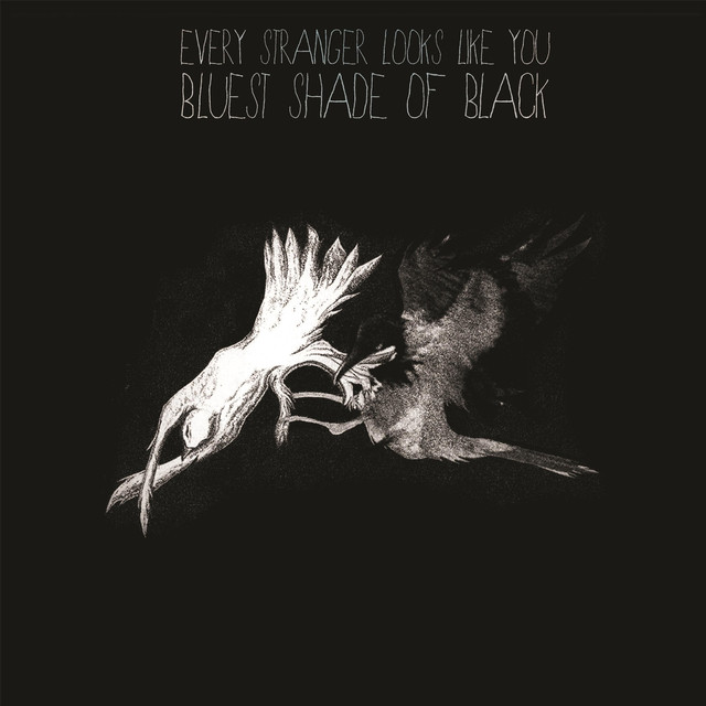 Every Stranger Looks Like You Photo