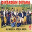 Diyardan Diyara, Vol. 3 (Davul Zurna İle Halk Oyunları) Albumcover