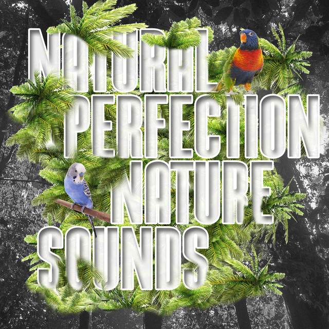 Natural Perfection: Nature Sounds Albumcover