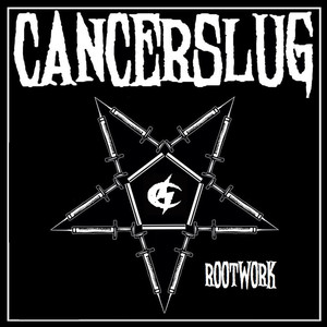Rootwork cover