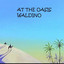 At the Oasis Albumcover