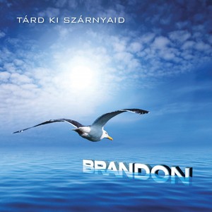 Tárd Ki A Szárnyaid Albumcover