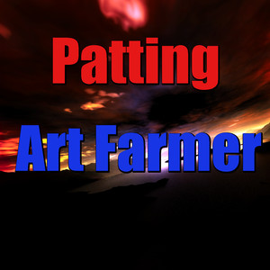 Patting cover