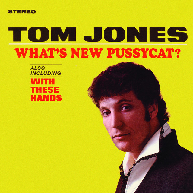 What's New Pussycat cover