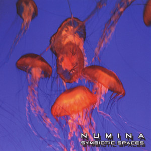 Symbiotic Spaces cover