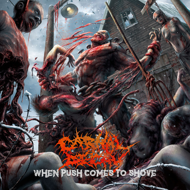 When Push Comes To Shove cover