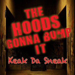 The Hoods Gonna Bump It album
