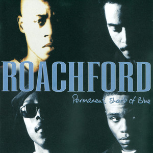 Permanent Shade of Blue album
