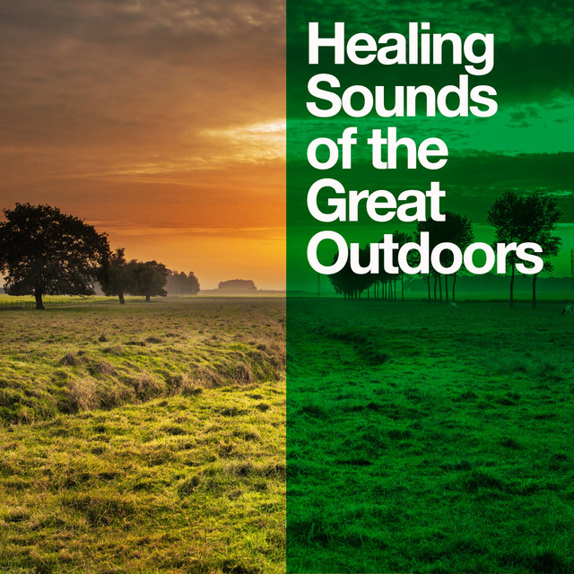 Healing Sounds of the Great Outdoors Albumcover