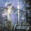 Celtic Fantasy cover