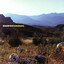Panorama cover