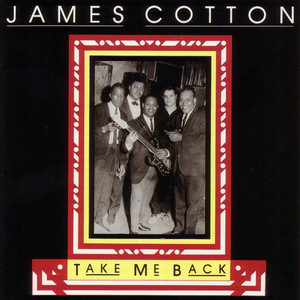My Babe (Walter Jacobs) cover