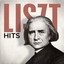 Liszt Hits Albumcover