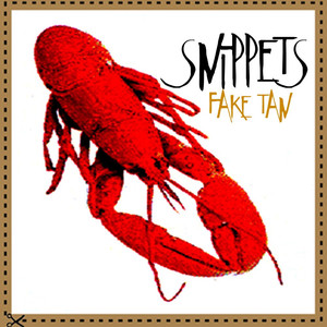 Snippets Albumcover