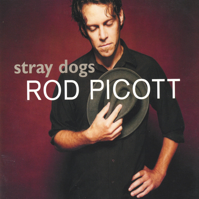 Stray Dogs cover