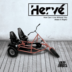 How Can I Live Without You (Make It Right) album