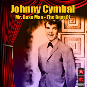 Mr. Bass Man - The Best Of cover