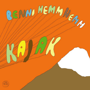 Kajak cover