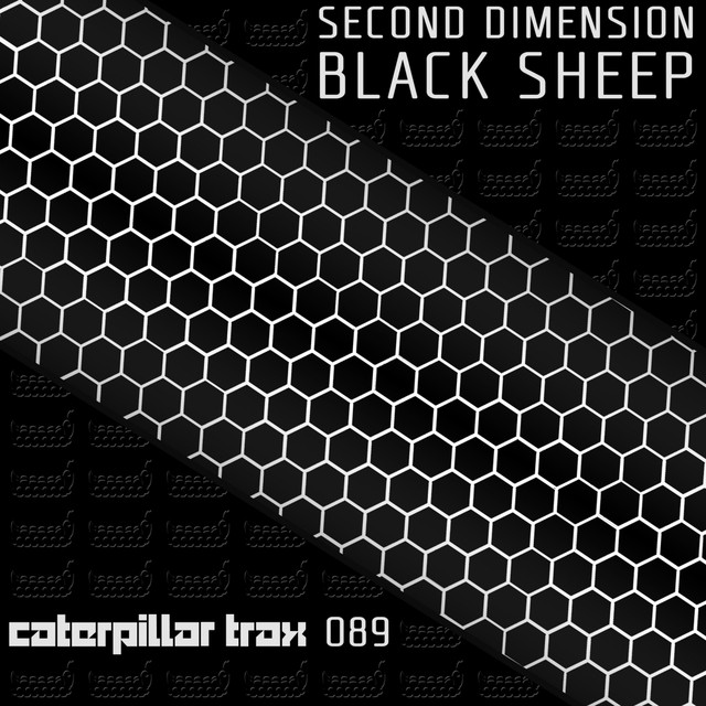 Second Dimension Photo