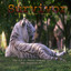 Survivor Albumcover