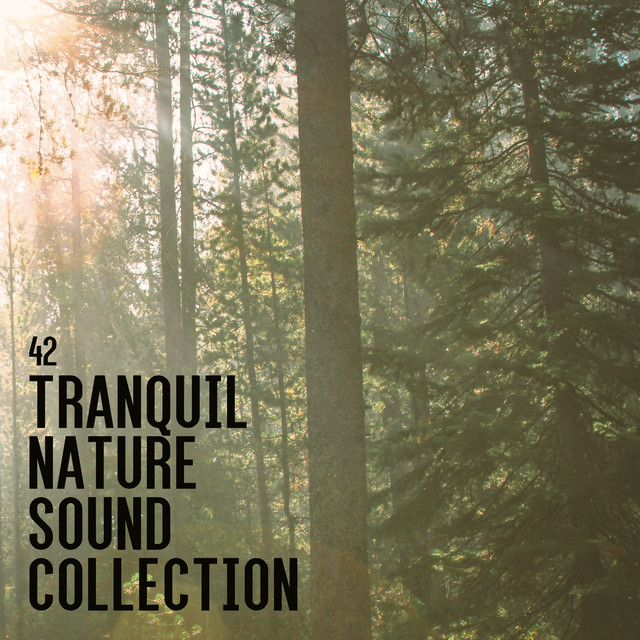 34 Tranquil Nature Sound Collection