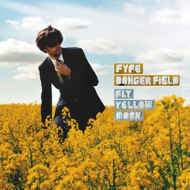 Fly Yellow Moon cover