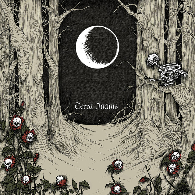 Somnium Nox Photo