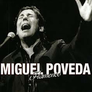 Flamenco cover