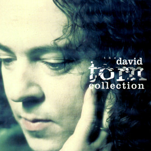 The David Torn Collection album