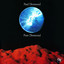 Pure Desmond cover