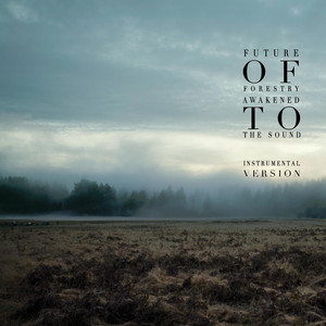 Awakened to the Sound (Instrumental Version) cover