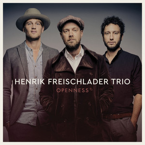 Henrik Freischlader Trio Photo