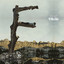 Feist - The circle married the line