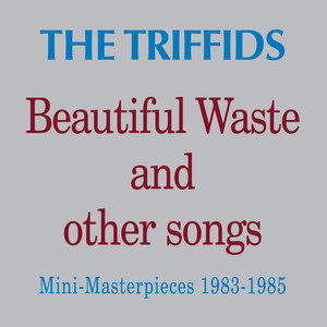 Beautiful Waste and Other Songs cover