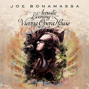 An Acoustic Evening at the Vienna Opera House album