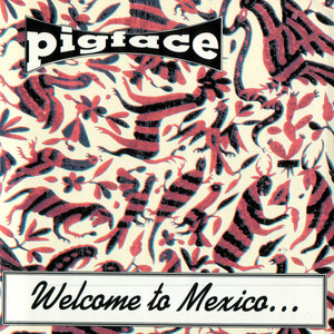 Welcome to Mexico... Asshole album