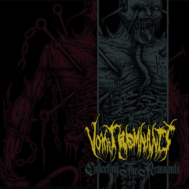 Collecting The Remnants cover