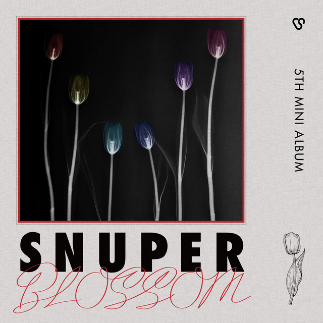 SNUPER Photo