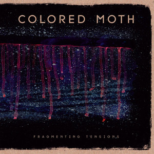 Colored Moth Photo