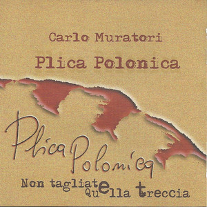Ppi tia stasira cover