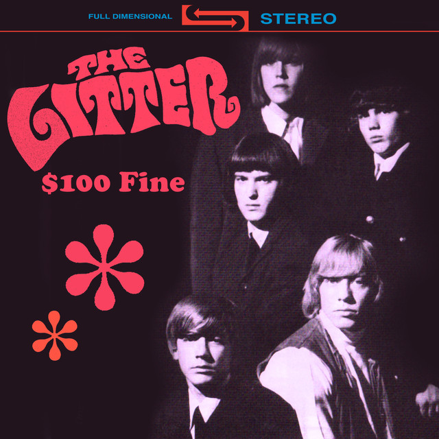 $100 Fine cover
