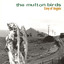 Envy of Angels cover