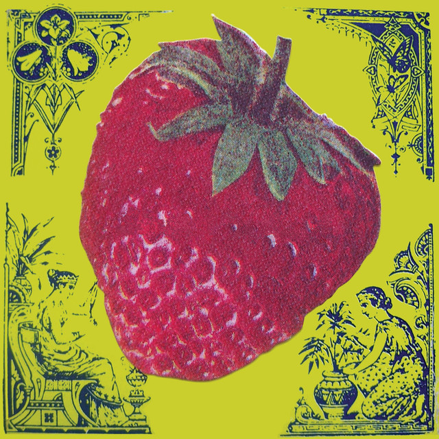 Strawberry cover