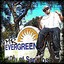 Mr. Evergreen Albumcover