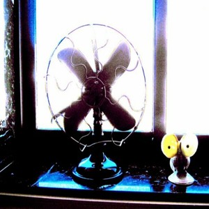 Francisco Jos&eacute; Rodr&iacute;guez Rodr&iacute;guez