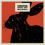 Black Rabbits cover